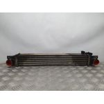 Intercooler Para Citroen Nemo