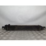 Intercooler Para Citroen Nemo
