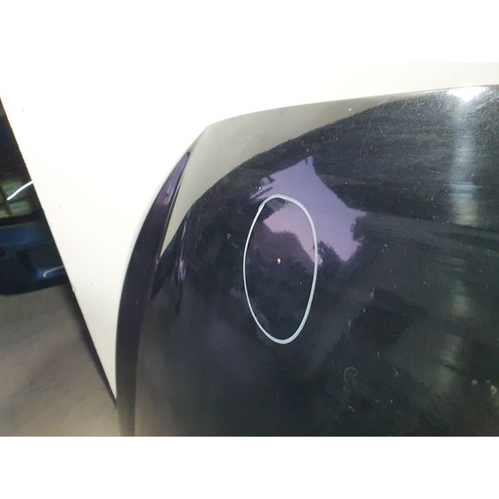 Capot Para Ssangyong Rodius