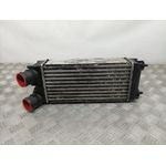 Intercooler Para Peugeot 308