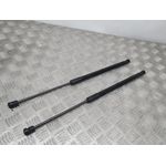 Amortiguadores Maletero / Porton Para Kia Rio