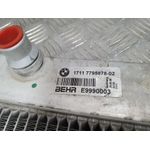 Radiador Agua para Bmw Serie 5 Berlina