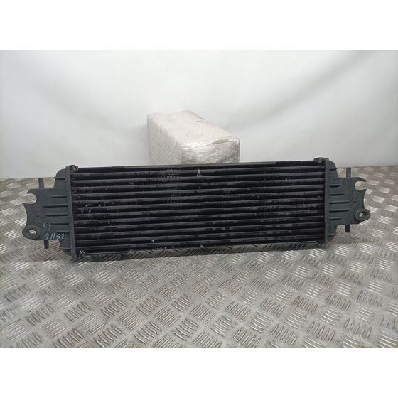 Intercooler Para Renault Trafic Caja Cerrada