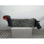 Intercooler Para Peugeot 807