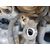 Compresor Aire Acondicionado para Renault Megane Iv Berlina 5P