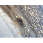 Plastico Pase Rueda Tras. Izq. para Renault Megane Iv Berlina 5P