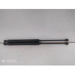 Amortiguadores Maletero / Porton Para Renault Captur