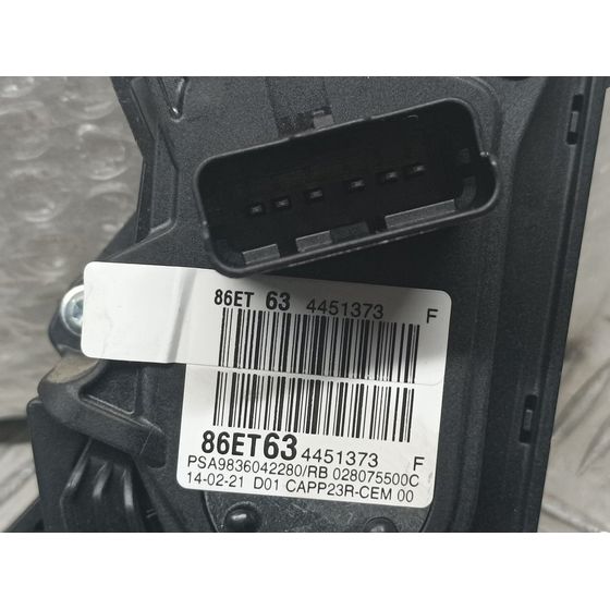 Potenciometro Pedal Para Citroen Berlingo