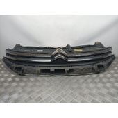 Rejilla Delantera Para Citroen C3
