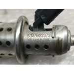 Inyector Adblue Para Citroen C3