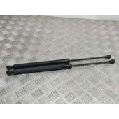 Amortiguadores Maletero / Porton Para Renault Clio Iv