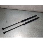 Amortiguadores Maletero / Porton Para Peugeot 308
