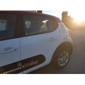 Puerta Trasera Izquierda Para Citroen C3