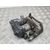 Pinza Freno Trasera Izquierda para Nissan Qashqai (J11)