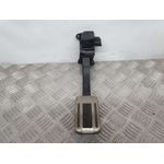 Potenciometro Pedal para Ds 7 Crossback