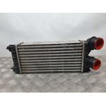 Intercooler Para Citroen C4 Lim.