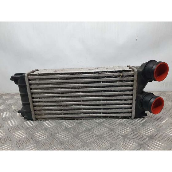 Intercooler Para Citroen C4 Lim.