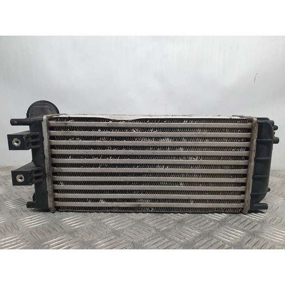 Intercooler Para Citroen C4 Lim.