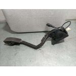 Potenciometro Pedal Para Citroen C6