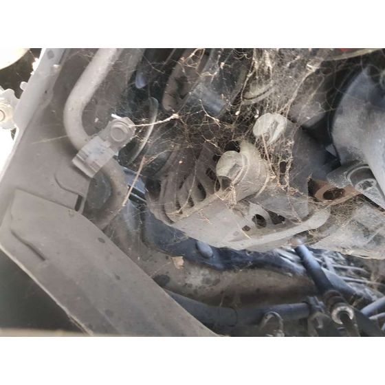 Alternador Para Fiat Doblo Cargo