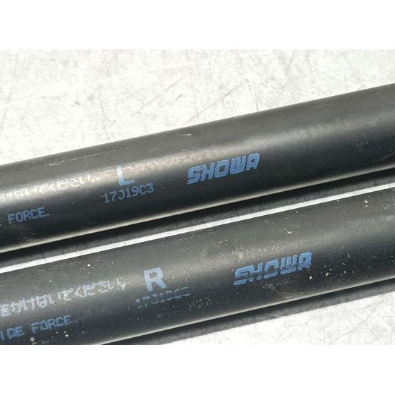 Amortiguadores Maletero / Porton Para Suzuki Ignis