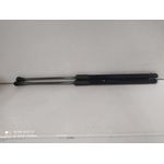Amortiguadores Maletero / Porton Para Kia Rio