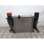 Intercooler Para Renault Clio Iii