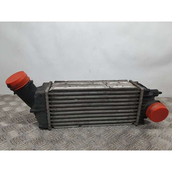 Intercooler Para Citroen C4 Coupe