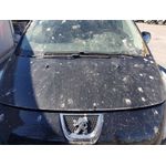 Capot para Peugeot 3008