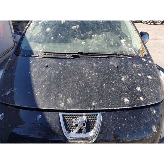 Capot para Peugeot 3008