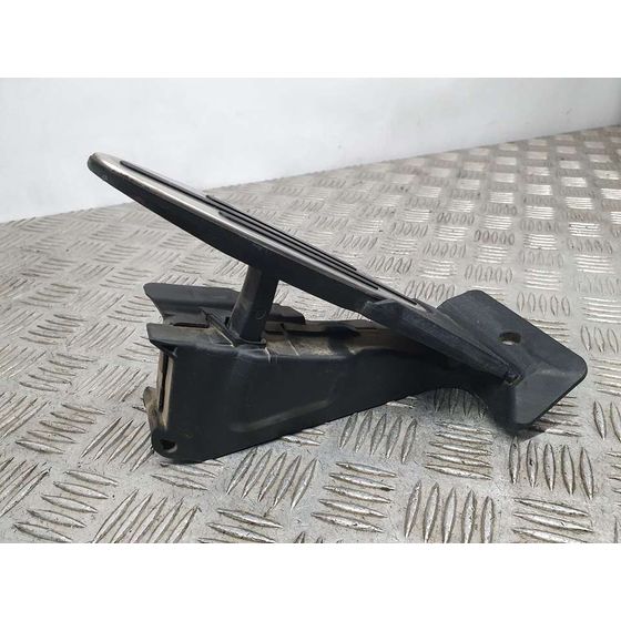 Potenciometro Pedal para Mini Countryman (R60)
