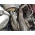 Motor Completo Para Audi A6 Berlina
