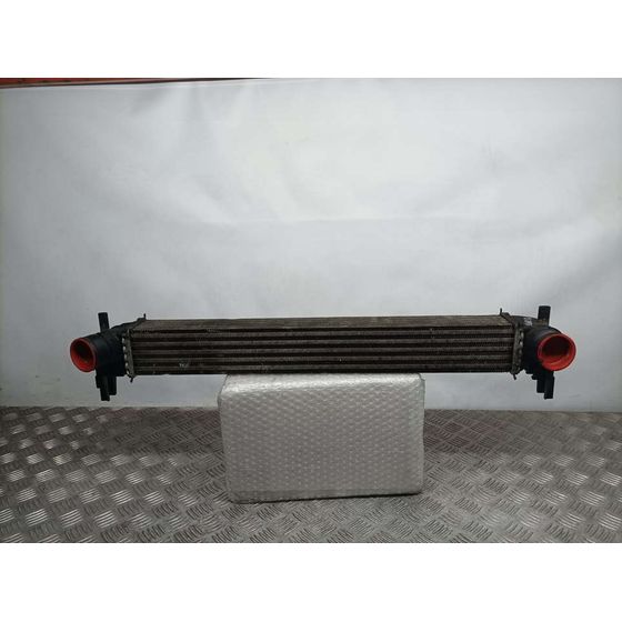 Intercooler Para Skoda Fabia