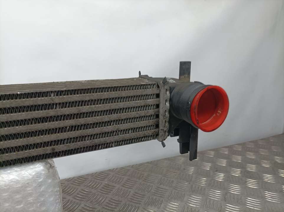 Intercooler Para Skoda Fabia