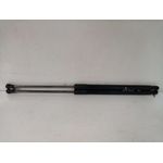 Amortiguadores Maletero / Porton Para Citroen C4 Cactus
