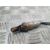 Sonda Lambda Para Citroen C4 Grand Picasso