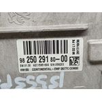 Sistema Navegacion Gps Para Citroen C-Elysée