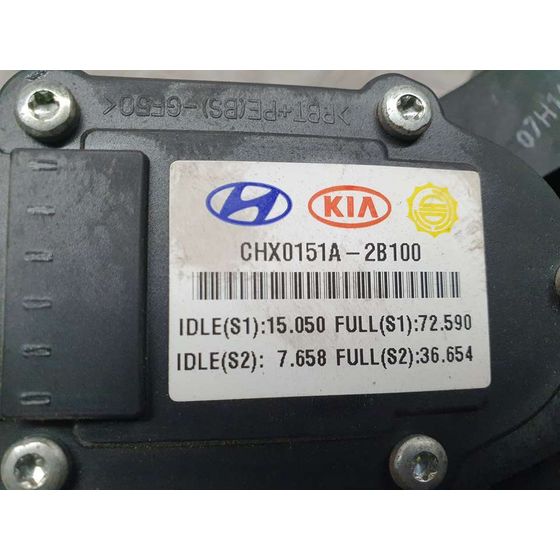 Potenciometro Pedal para Hyundai Santa Fe (Bm)