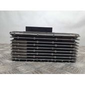 Amplificador Radio Para Audi A4 Ber.