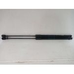 Amortiguadores Maletero / Porton Para Audi A3 Sportback