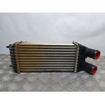 Intercooler Para Opel Crossland X