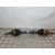 Transmision Delantera Izquierda Para Nissan Qashqai