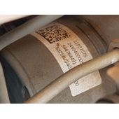 Abs Para Mg Zs