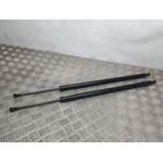 Amortiguadores Maletero / Porton Para Nissan Nv 200