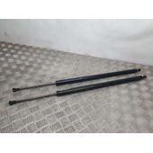 Amortiguadores Maletero / Porton Para Nissan Nv 200