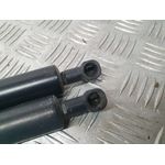 Amortiguadores Maletero / Porton Para Nissan Nv 200