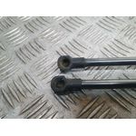 Amortiguadores Maletero / Porton Para Nissan Nv 200