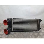 Intercooler Para Peugeot 3008