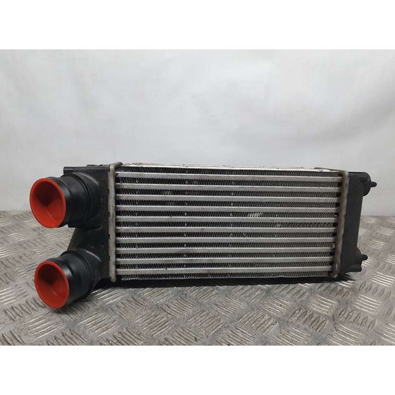 Intercooler Para Peugeot 3008
