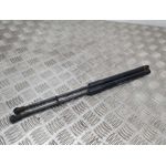 Amortiguadores Maletero / Porton para Citroen C3
